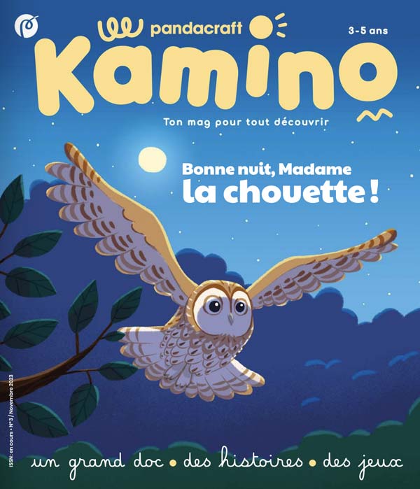 Activités ludiques pour les enfants de 3 à 5 ans ! Abonnement Kamino Pandacraft